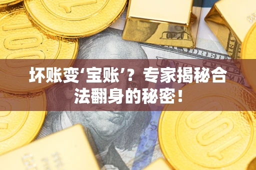 北京坏账变‘宝账’？专家揭秘合法翻身的秘密！