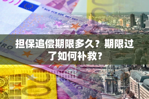 北京担保追偿期限多久？期限过了如何补救？