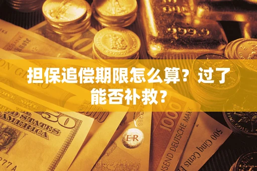 北京担保追偿期限怎么算？过了能否补救？